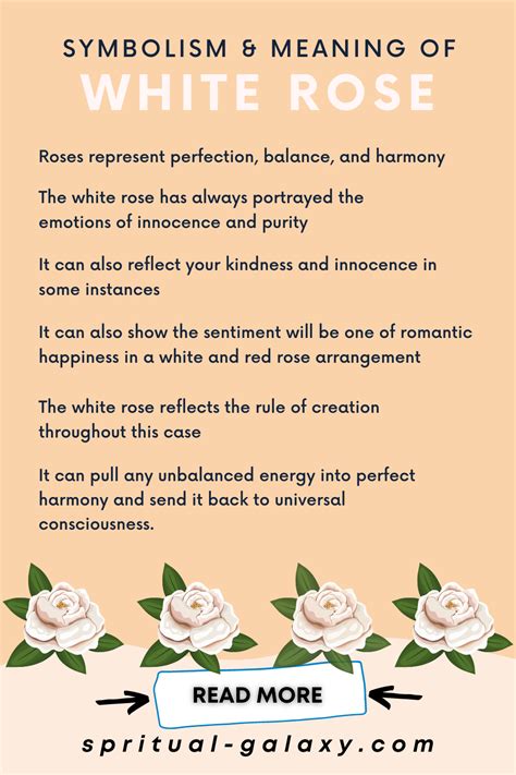 The White Magic Rose: Enhancing Spiritual Connection
